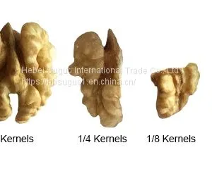 China Aaaa Cheap Quality Walnut Kernel thumbnail-1