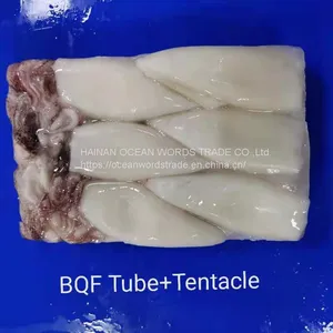 Frozen Squid Tentacles, Tube, T+T QS Squid Ring and Loligo Squid Rings thumbnail-3