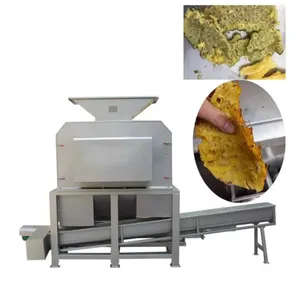 Shanghai GENYOND Berry Juice Strawberry Jam Processing Line thumbnail-3