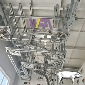 30–800 Heads Per Day Turnkey Sheep Butchery Line Complete Goat Slaughter Processing Machinery thumbnail-3