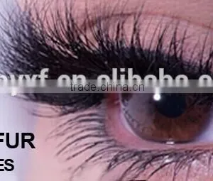 Gear Shape Base Lash Extensions thumbnail-3
