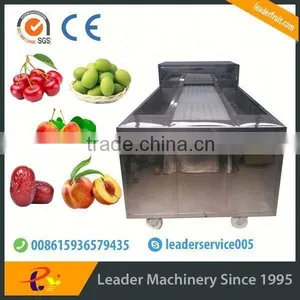 Leader Cherry Stoning Machine With Website:leaderservice005 thumbnail-2