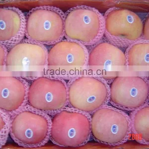 Good Quality Red Fuji Apple thumbnail-1