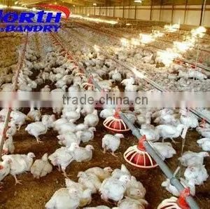 Prefab Broiler Poultry House thumbnail-1