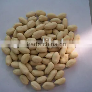 Chinese Peanut Kernel Without Skin thumbnail-1
