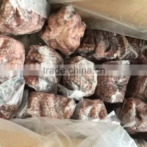 2016 Frozen Baby Octopus 20-60g/pcs for Sale thumbnail-2