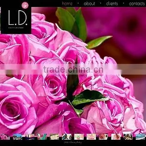 Fine Art Photographers thumbnail-1