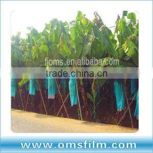 LDPE Blue Banana Plastic Bags With Chloropyrifus thumbnail-2