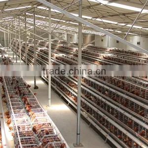 High Quality Commercial Chicken Cages/cheap Folding Cage/rabbit Cage thumbnail-1