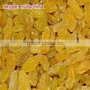 Golden Raisin thumbnail-1