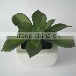 Bonsai Pots Wholesale thumbnail-1