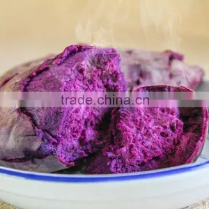Fresh Purple Sweet Potato For Sweet Potato Buyers thumbnail-4
