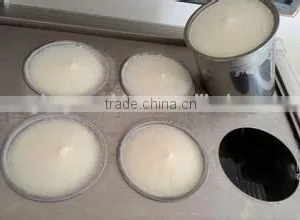 Good Performance Taiwanese All Kinds Of Fruit Ice Block Making Machine thumbnail-5