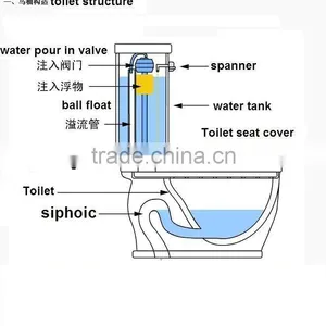 Porcelain Light Sky Blue Two Piece Toilet in China thumbnail-6