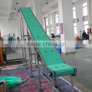 Plastic Belt Lifting Conveyor System for Different Industries thumbnail-1