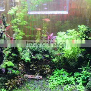 Dropship Wholesaler Freshwater Aquarium Led White Dsuny Led Aquarium Light Programmable Fresh Fish Water Planr thumbnail-4