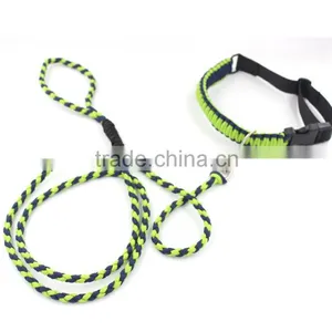 Paracord Dog Leash and Collar, Adjustable Dog Collar thumbnail-1