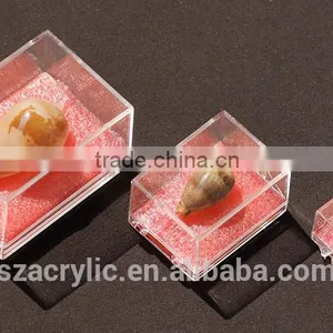 High Quality Transparent Plastic Small Box Storge Box Wholesale thumbnail-4