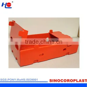 FDA PP Fruit Packaging Box/Case thumbnail-2