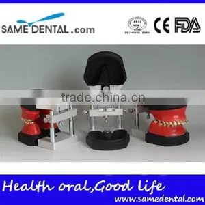 Dental Orthodontic Operational Training Model DEA-32 thumbnail-2