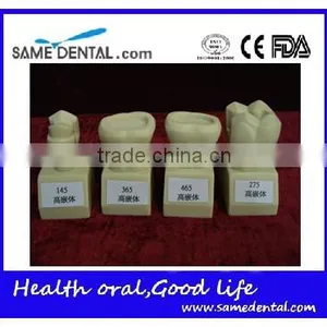 Hot Sale 4 Times Butment Cavity Preparation Model Gingival School Teaching Demonstration Models thumbnail-6