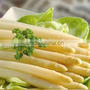 NEW CROP/ Canned White Asparagus Spears in Tall Glass Jars 370ml thumbnail-1