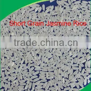 VIETNAM BEST PRICE SHORT GRAIN FRAGRANT RICE thumbnail-1