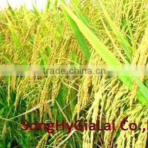 VIETNAM WHITE RICE LONG GRAIN thumbnail-3