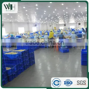 Kidney Shaped Vietnam Cashew Nut Raw thumbnail-3