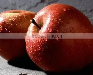 Japanese Various Delicious Apples thumbnail-1