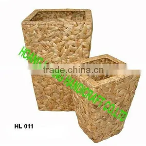 Vietnam Fern Pot thumbnail-1