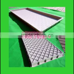 Plastic Nursery Plant Hydroponic Seed Trays thumbnail-1