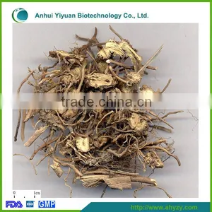 High Quality Herb Medicine Cynanchum Atratum( Baiwei) thumbnail-1