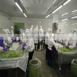 Chinese Frozen Green Soy Bean, IQF Edamame thumbnail-1