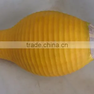 FXP-99 Automatic Pineapple Peeler ,watermelon and Melon Peeling Machine,pawaw Slin Peeling Machine thumbnail-4