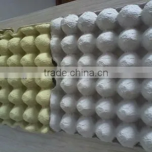 Pulp Egg Tray for Packing AA Size thumbnail-1