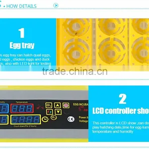 HHD 2016 Best Seller Market 132 Quail Egg Incubator in Qatar EW-48 thumbnail-2