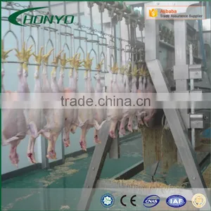 Full Stainless Steel Structure Halal Poultry CHICKEN SLAUGHTER AND ABATTOIR MACHINE LINE thumbnail-2