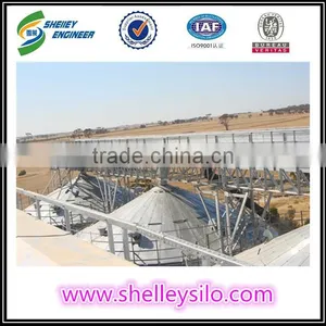 High Efficient Buckwheat Drag Conveyor for Sale thumbnail-4