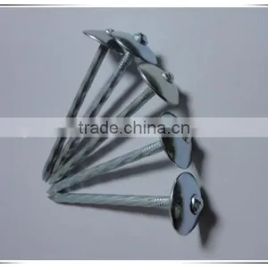 Best Price Umbrella Head Smooth Plain Shank Roofing Nail Made in China thumbnail-3