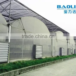 Factory Price BLD001 Plasctic Film Cover Greenhouse for Agricultural and Commercial Use thumbnail-1