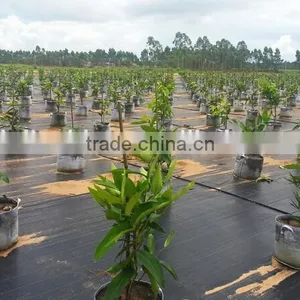 Agrotextile Ground Covers thumbnail-3