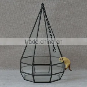 Indoor Plant Glass Terrarium Micro Landscape Glass Greenhouse thumbnail-1