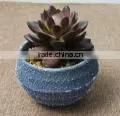 SJ10181201 Wholesale All Types Of Artificial Cactus Plants thumbnail-3