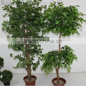 2016 Hot Sale Banyan Tree,Wholesale Artificial Decorative Tree thumbnail-1