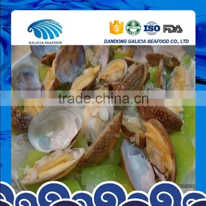 Frozen Fresh Boiled Short Neck Clam China Origin thumbnail-1
