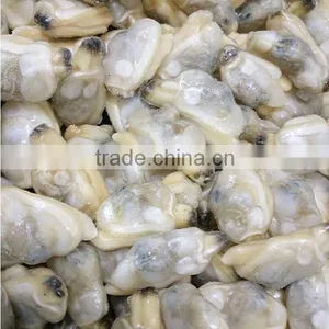 Good Quality Seafood Frozen Clam Meat on Sale thumbnail-1