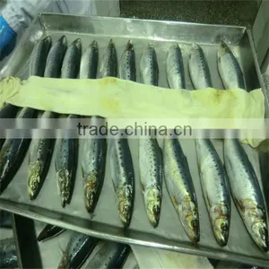 Qality Food With Fresh Frozen Mackerel Fish thumbnail-1