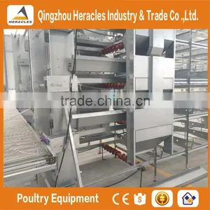 High Quality Chicken Farm Automatic Layer Poultry Equipment Chicken Cage for Sale thumbnail-6