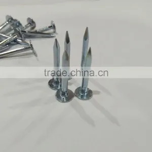 Galvanized Clout Nails With Flat Head thumbnail-3